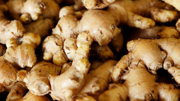 FRESH GINGER - Image 4