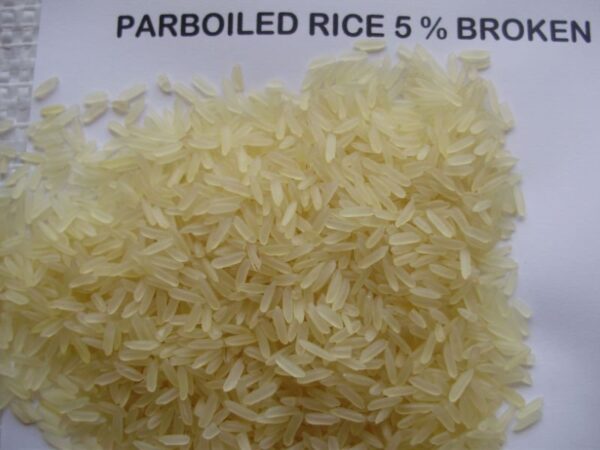 RICE (Non-Basmoti) - Image 4