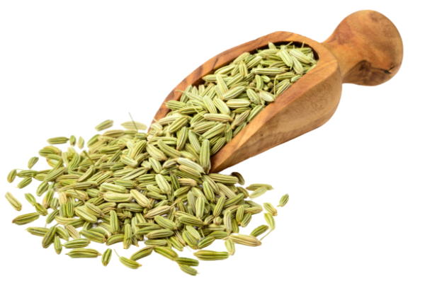FENNEL SEEDS